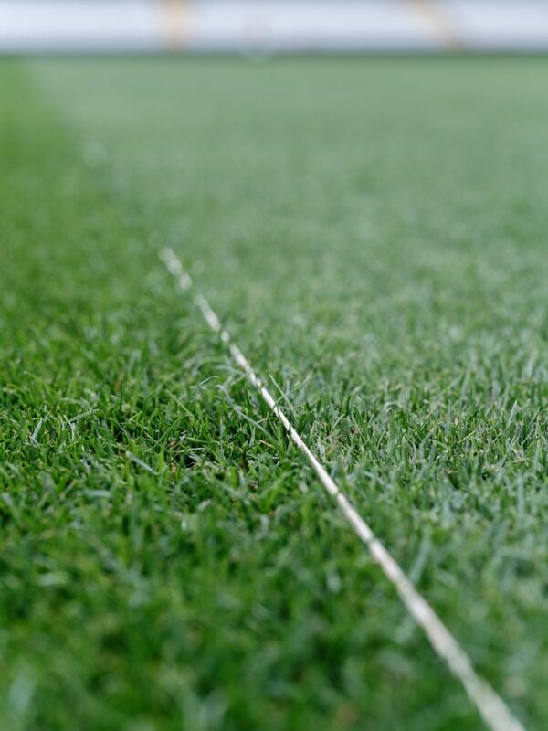 IDV21_PH20210727-JLD (WK Films)