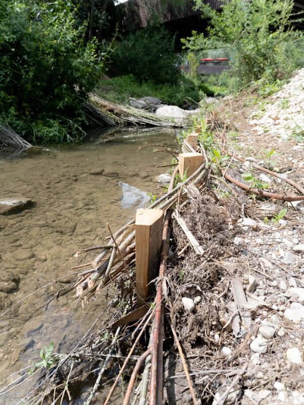 IDV22_PH20220525-JLD (WK Films)