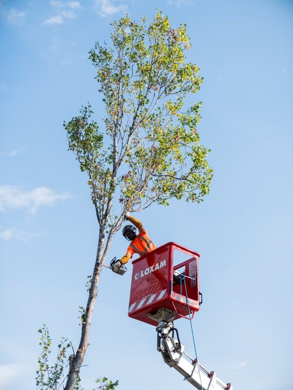 IDVERDE_CENTRE COMMERCIAL MONTIMARAN (BEZIERS)