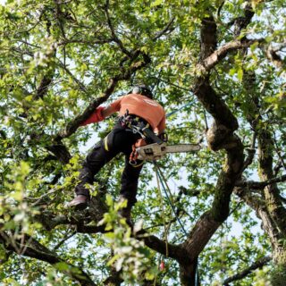 IDVERDE_LES FOLIES SIFFAIT (NANTES)