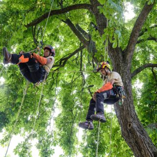 IDV24 - JOURNEE TECHNIQUE ABBAYE DE ROYAUMONT