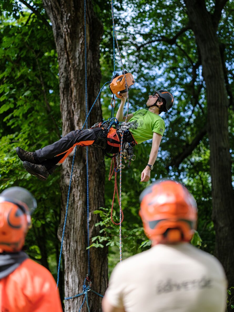 IDV24 - JOURNEE TECHNIQUE ABBAYE DE ROYAUMONT