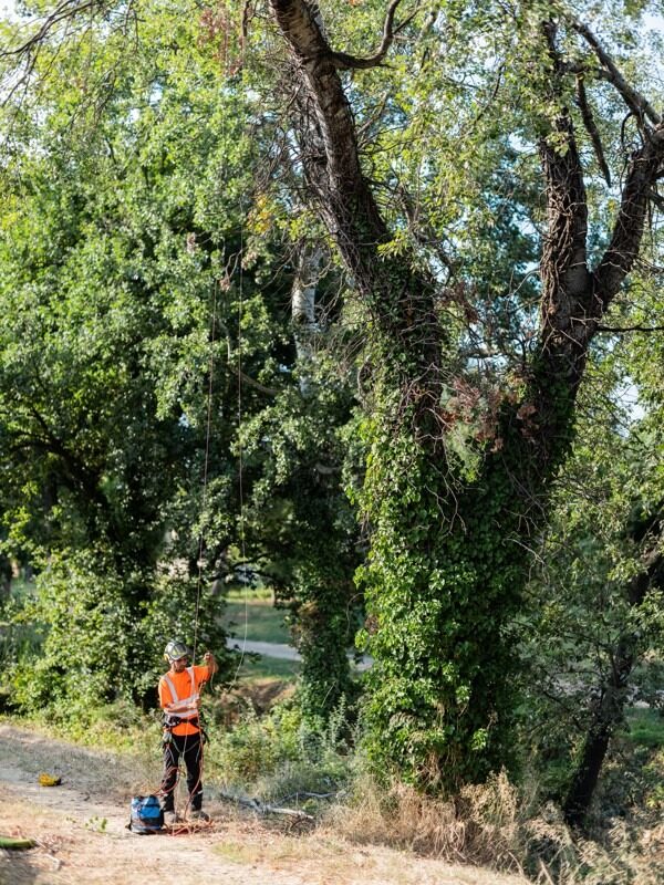 IDVERDE_CENTRE COMMERCIAL MONTIMARAN (BEZIERS)