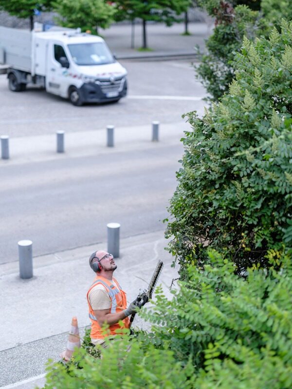 IDV23_PH20230623- JLD (WK Films)