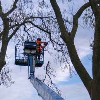 © Travel WorldClass